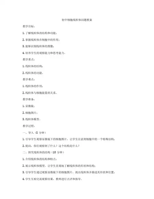 初中细胞线粒体问题教案