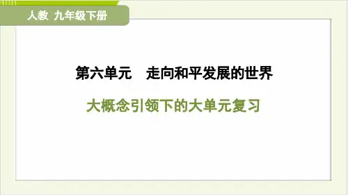 2025年人教版九年级下册历史第六单元大概念引领下的大单元复习