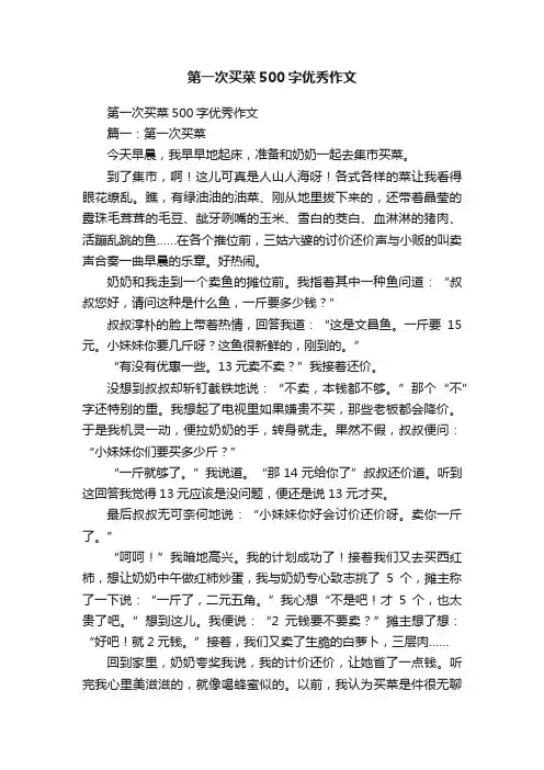 第一次买菜500字优秀作文