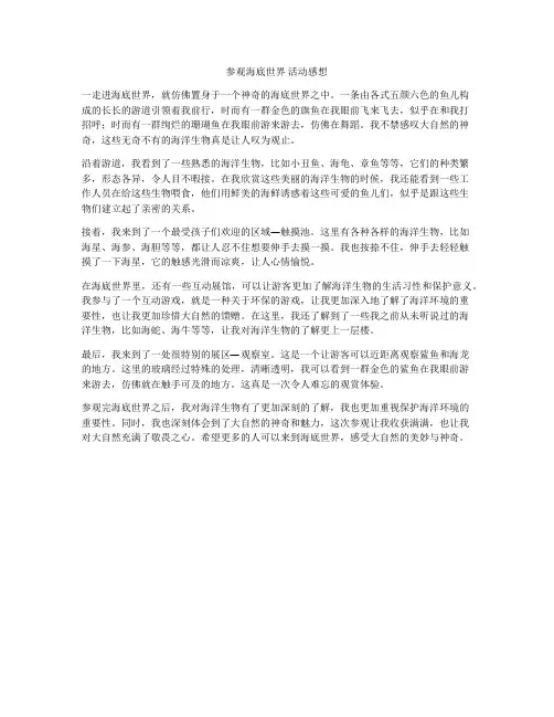 参观海底世界 活动感想