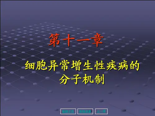 分子生物学第11章细胞异常增生与疾病课件