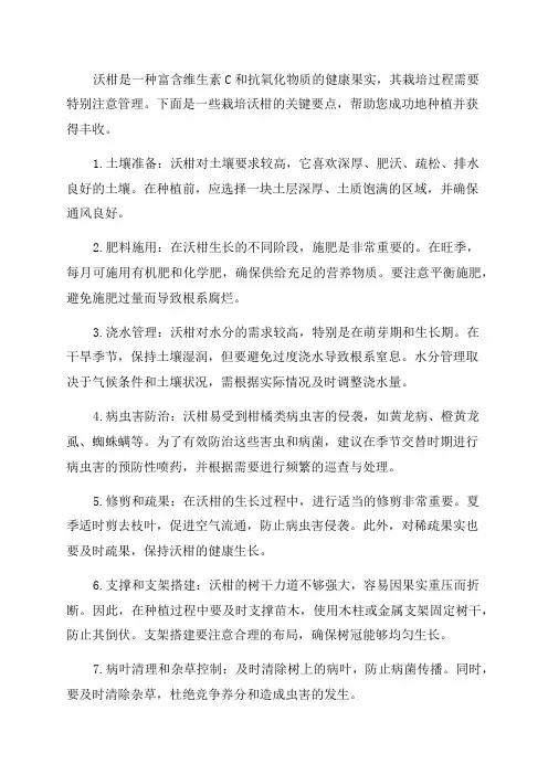 沃柑全年栽培管理这些要点不容错过