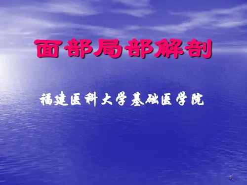 面部局部解剖PPT课件