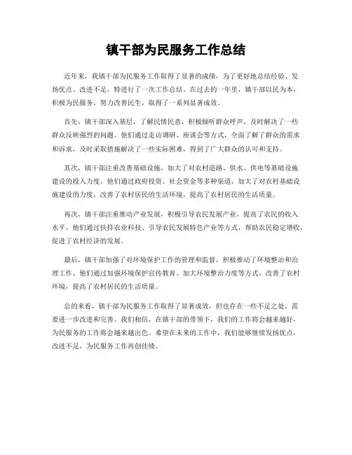 镇干部为民服务工作总结
