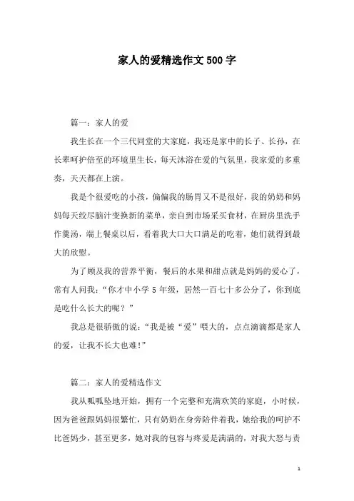 家人的爱精选作文500字