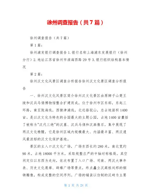 徐州调查报告(共7篇)
