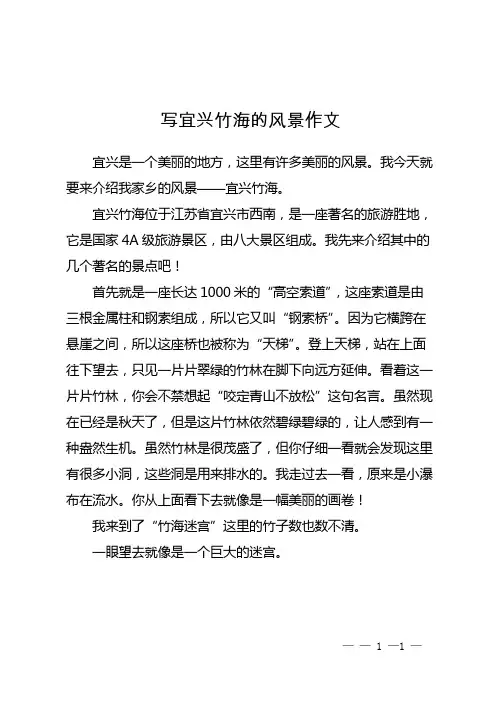 写宜兴竹海的风景作文