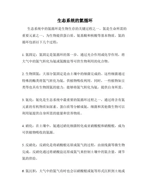 生态系统的氮循环