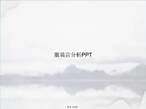 服装店分析(共14张PPT)
