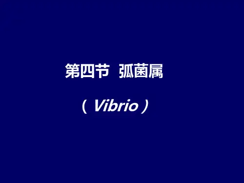 弧菌属 (Vibrio)
