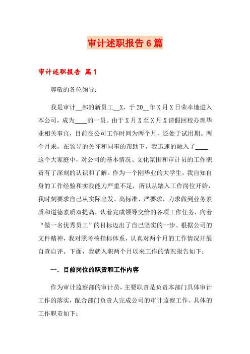审计述职报告6篇