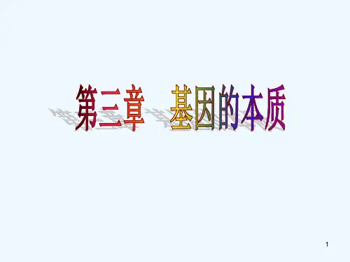 基因的本质复习-PPT