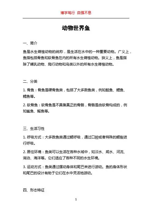动物世界鱼