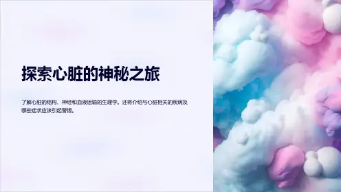 心脏(叩诊、听诊)-诊断学查体