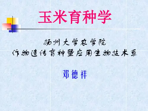 玉米转基因方法资料