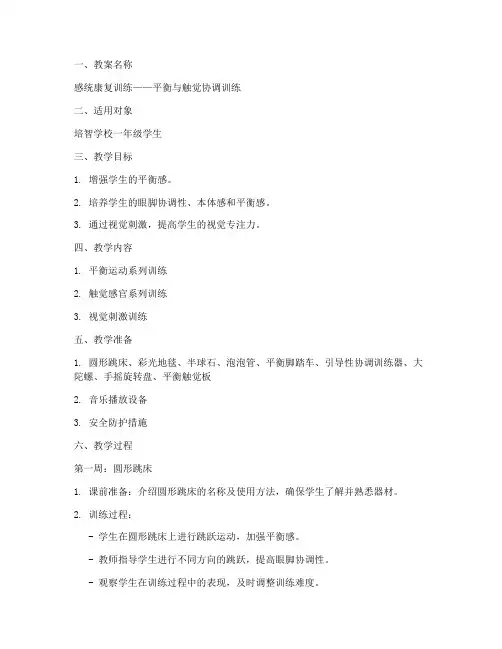 感统康复治疗教案模板范文