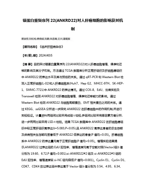 锚蛋白重复序列22(ANKRD22)对人肝癌细胞的影响及其机制