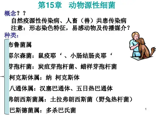 C15 动物源性细菌linben总结
