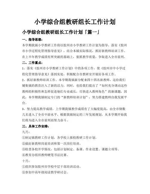 小学综合组教研组长工作计划