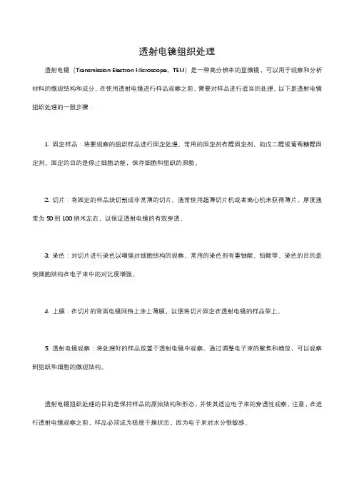 透射电镜组织处理
