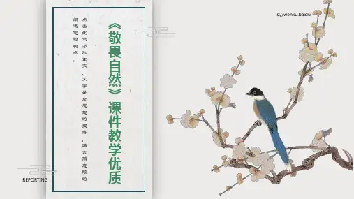 八年级语文上册《敬畏自然》课件教学优质