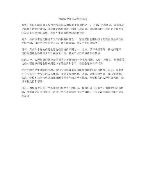 困境青少年情况简述范文