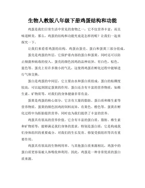 生物人教版八年级下册鸡蛋结构和功能