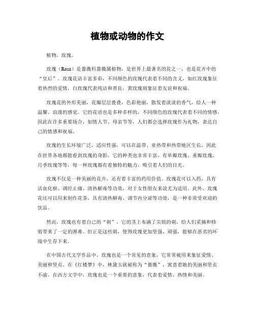 植物或动物的作文