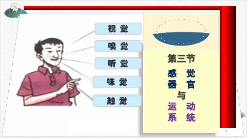 学前儿童的解剖生理与卫生保健PPT.