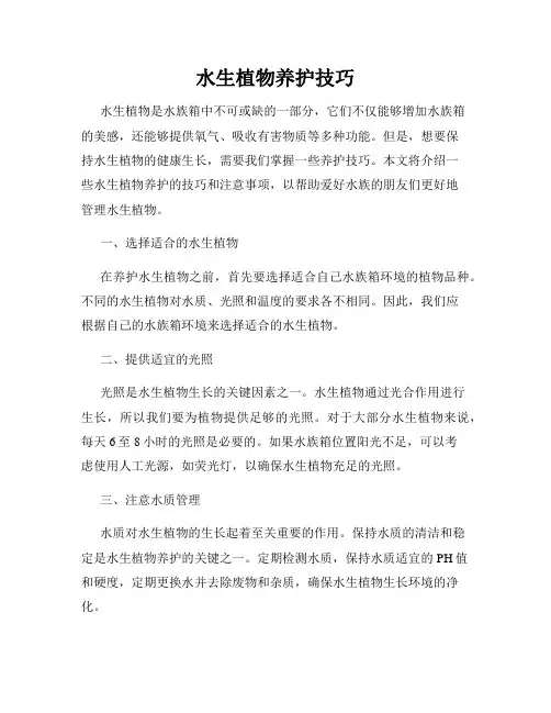 水生植物养护技巧