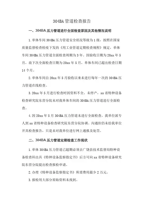 304BA管道检查报告