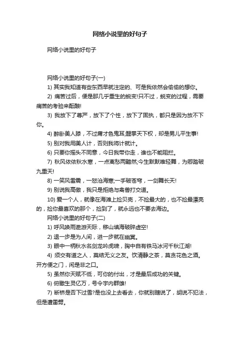 网络小说里的好句子