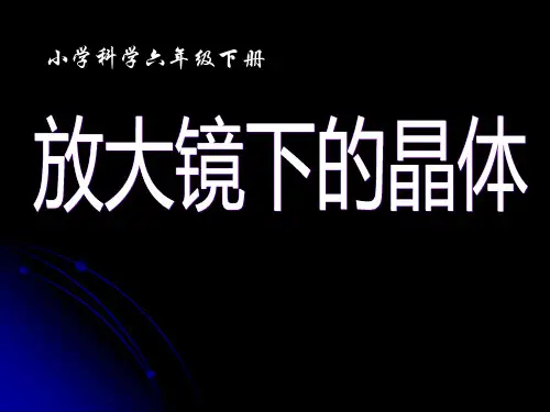 六年级下册科学课件 -1.3 放大镜下的晶体｜ 教科版 (共28张PPT)