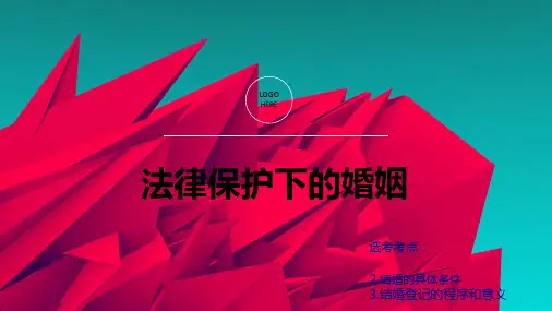 法律保护下的婚姻(共25张PPT)
