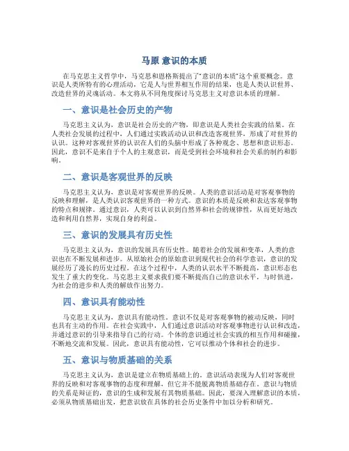 马原 意识的本质