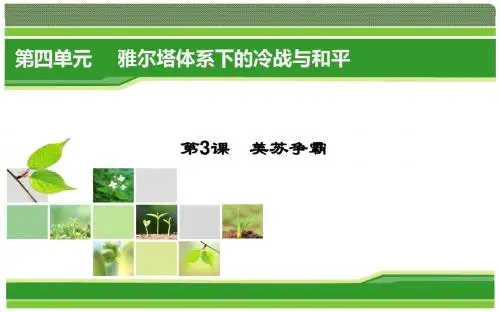 历史(人教版选修3)课件：4-3 美苏争霸