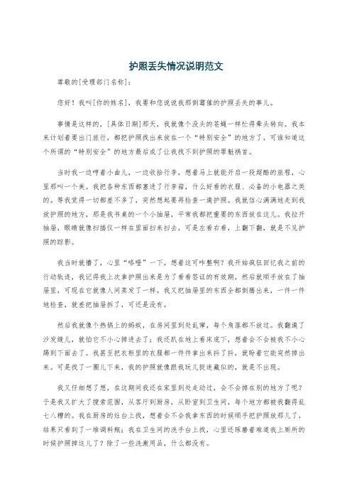 护照丢失情况说明范文