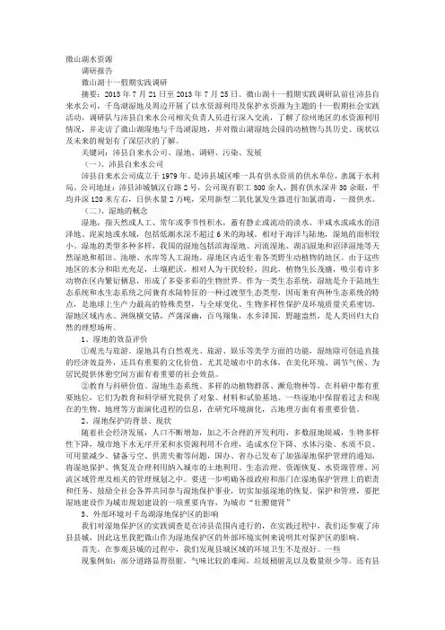 湿地调研报告