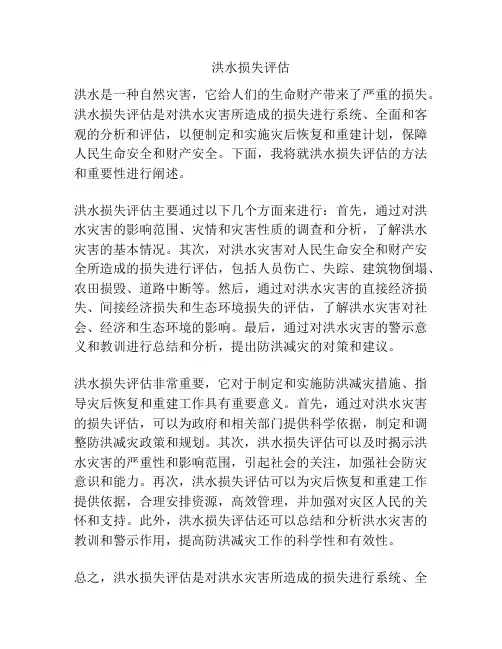 洪水损失评估