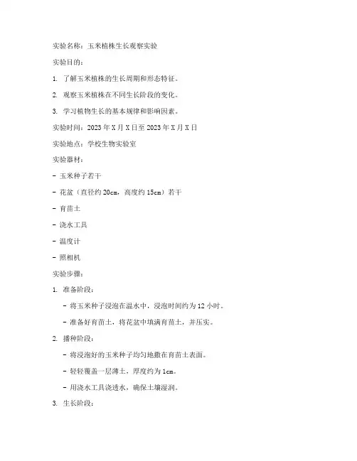 玉米观察实验报告