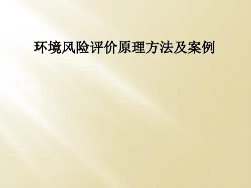 环境风险评价原理方法及案例