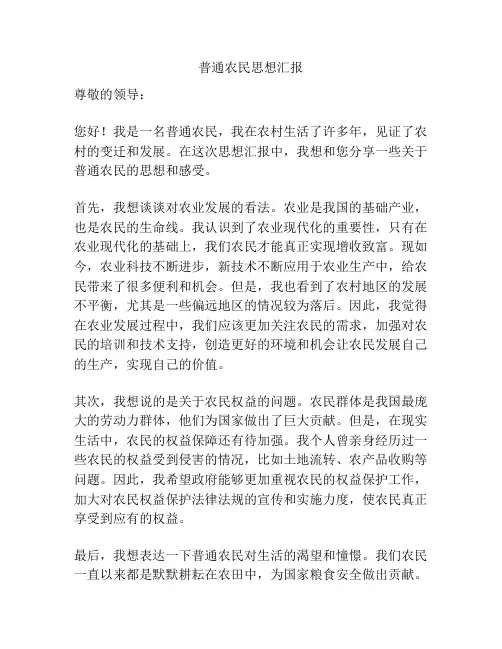 普通农民思想汇报