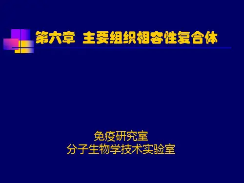 医学免疫学第八章MHC讲解PPT课件