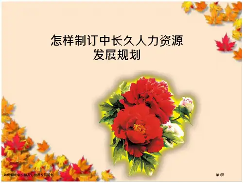 如何制定中长期人力资源发展规划