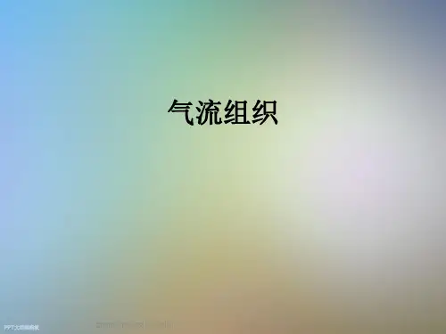 气流组织_精品文档