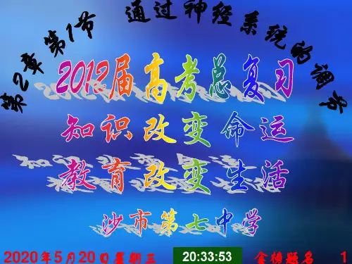 2-生物高考总复习 张柱 神经调节 (2)