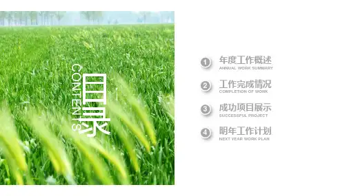 农业工作总结汇报模板课件