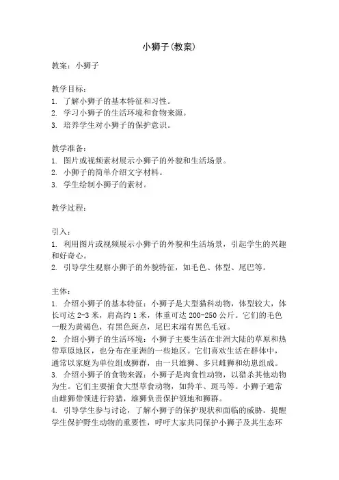 小狮子(教案)