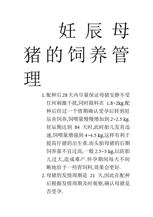 妊辰母猪的饲养管理