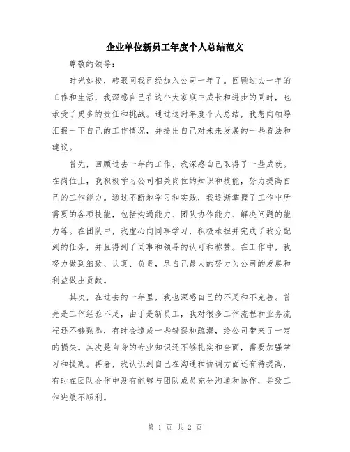 企业单位新员工年度个人总结范文